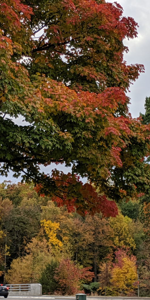 Fall Colors can inspire you.